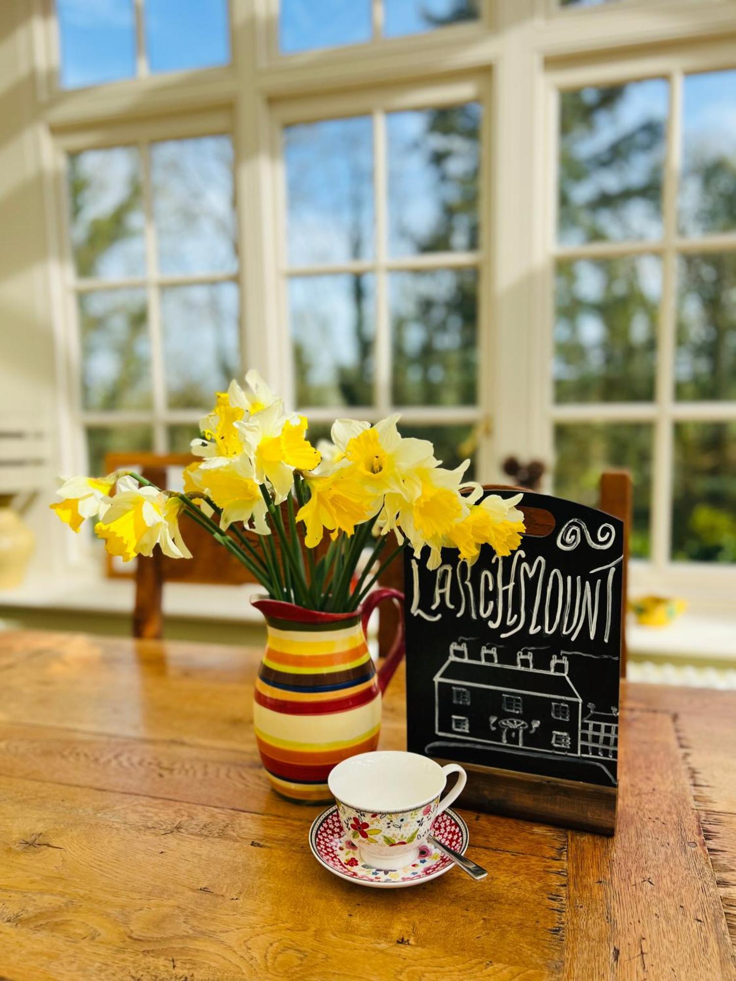 Larchmount House B&B 런던데리 외부 사진
